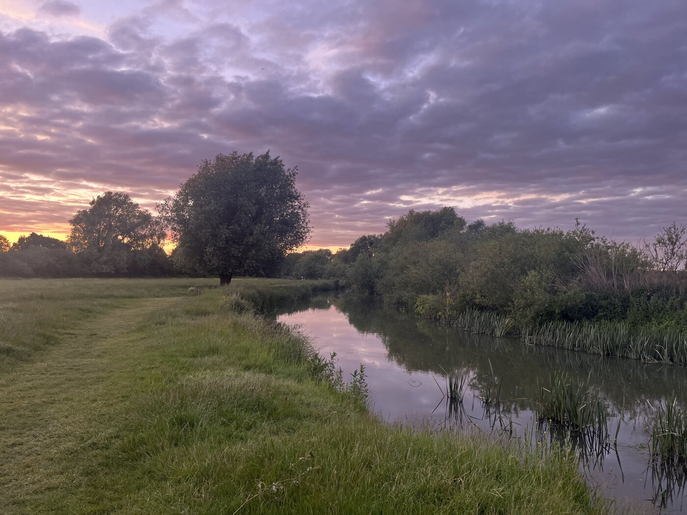 A river bordered by grass, reeds and trees, reflecting a pink and purple sunset